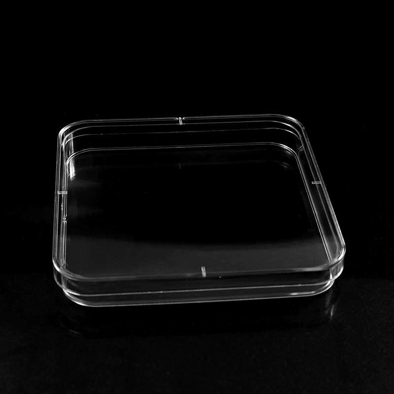 130x130mm Square PS Petri Dishes Vented